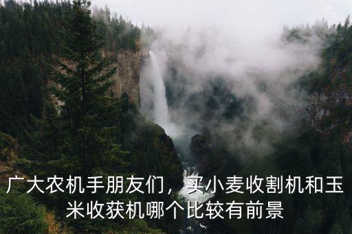 廣大農機手朋友們，買小麥收割機和玉米收獲機哪個比較有前景