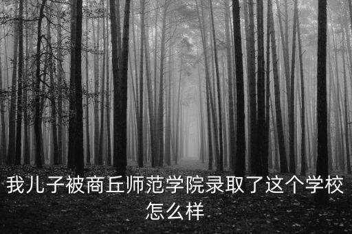 我兒子被商丘師范學院錄取了這個學校怎么樣