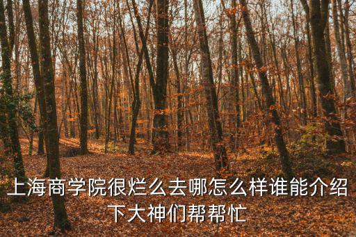 上海商學院很爛么去哪怎么樣誰能介紹下大神們幫幫忙