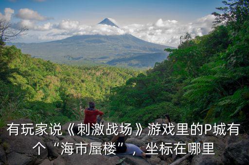 有玩家說《刺激戰場》游戲里的P城有個“海市蜃樓”，坐標在哪里