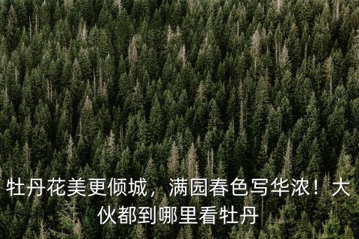 許昌哪里有牡丹,哪里可以欣賞到牡丹