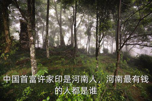 中國首富許家印是河南人，河南最有錢的人都是誰