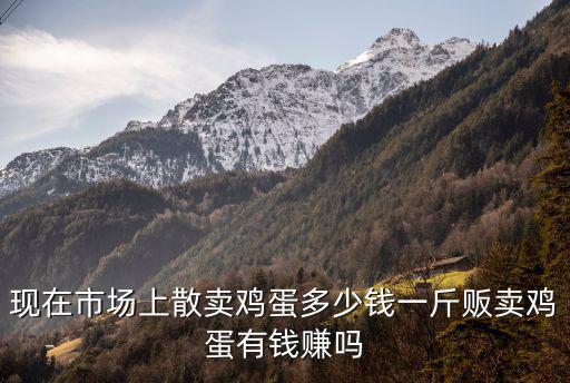 現在市場上散賣雞蛋多少錢一斤販賣雞蛋有錢賺嗎