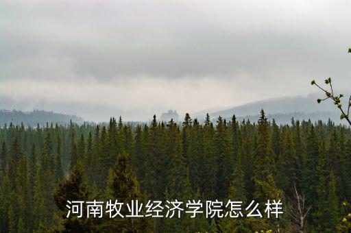 河南省思遠(yuǎn)學(xué)院怎么樣,河南警察學(xué)院怎么樣