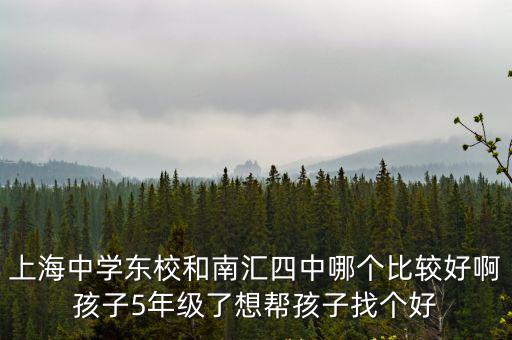 上海中學東校和南匯四中哪個比較好啊孩子5年級了想幫孩子找個好