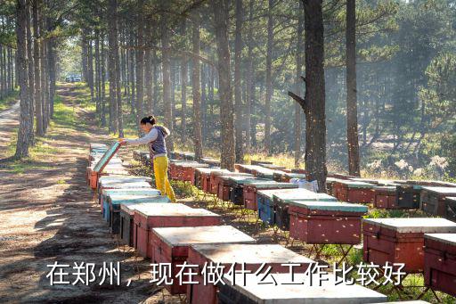 在鄭州，現(xiàn)在做什么工作比較好