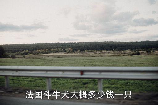法國斗牛犬大概多少錢一只