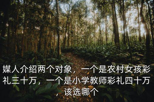 媒人介紹兩個對象，一個是農村女孩彩禮三十萬，一個是小學教師彩禮四十萬，該選哪個