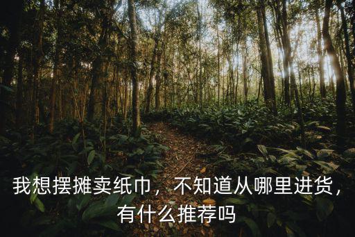 我想擺攤賣紙巾，不知道從哪里進貨，有什么推薦嗎