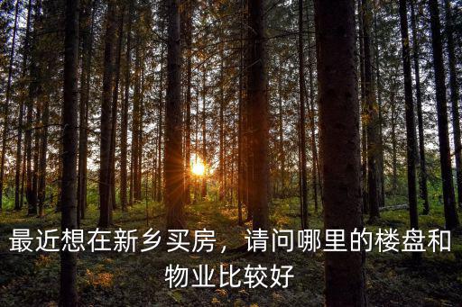 最近想在新鄉買房，請問哪里的樓盤和物業比較好