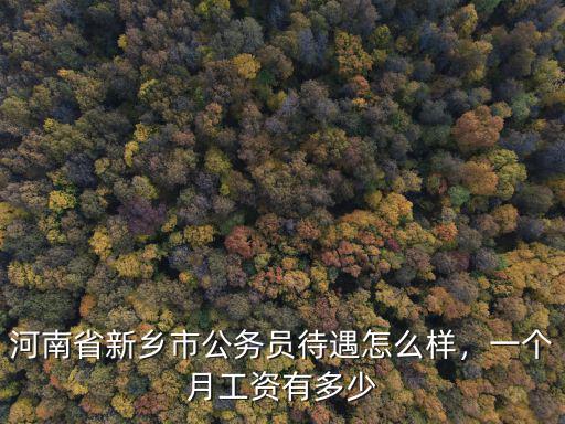 河南省新鄉市公務員待遇怎么樣，一個月工資有多少