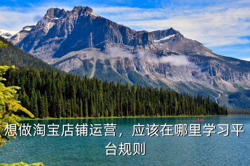 想做淘寶店鋪運營，應該在哪里學習平臺規(guī)則
