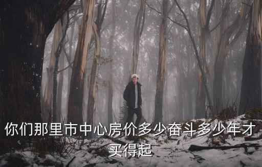 你們那里市中心房價多少奮斗多少年才買得起