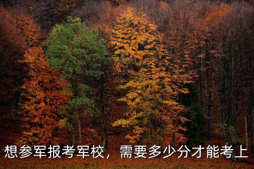 想參軍報考軍校，需要多少分才能考上