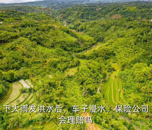 下大雨發(fā)洪水后，車子浸水，保險(xiǎn)公司會理賠嗎
