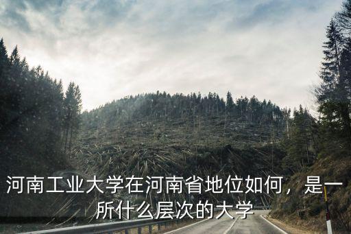 河南工業大學在河南省地位如何，是一所什么層次的大學