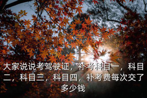 三門峽駕駛證補考費一次多少,補考費每次交了多少錢