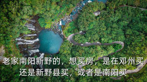 老家南陽新野的，想買房，是在鄧州買還是新野縣買，或者是南陽買