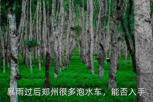 暴雨過后鄭州很多泡水車，能否入手