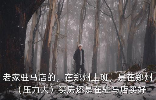 老家駐馬店的，在鄭州上班，是在鄭州（壓力大）買(mǎi)房還是在駐馬店買(mǎi)好