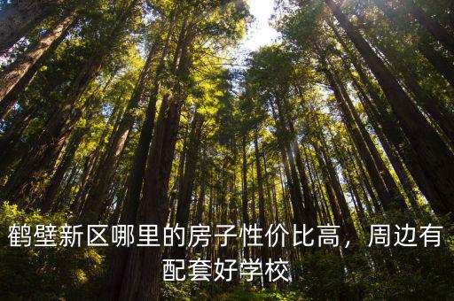 鶴壁新區哪里的房子性價比高，周邊有配套好學校