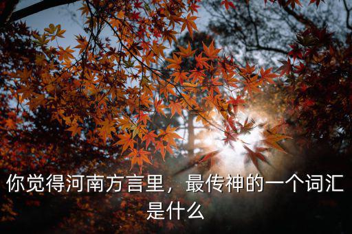 你覺得河南方言里，最傳神的一個詞匯是什么