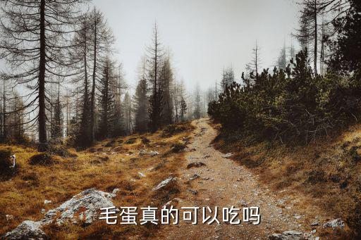 河南的毛蛋怎么吃,胎死毛蛋怎么做