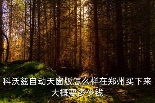 科沃茲自動天窗版怎么樣在鄭州買下來大概要多少錢