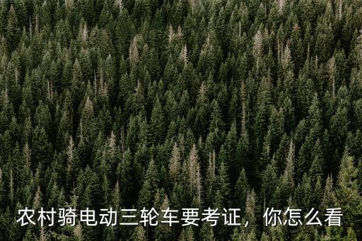 農村騎電動三輪車要考證，你怎么看