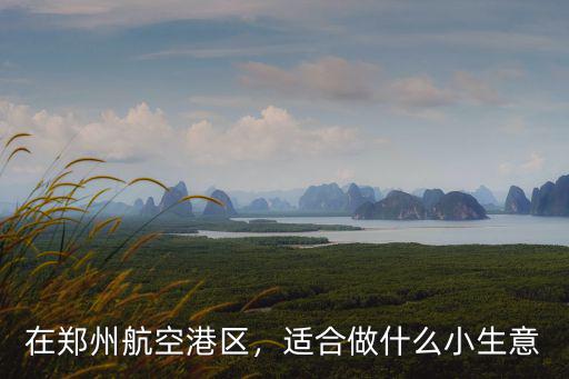 在鄭州航空港區，適合做什么小生意