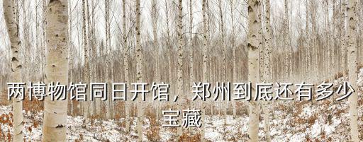 兩博物館同日開館，鄭州到底還有多少寶藏