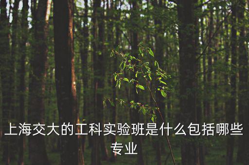 上海交大的工科實驗班是什么包括哪些專業(yè)