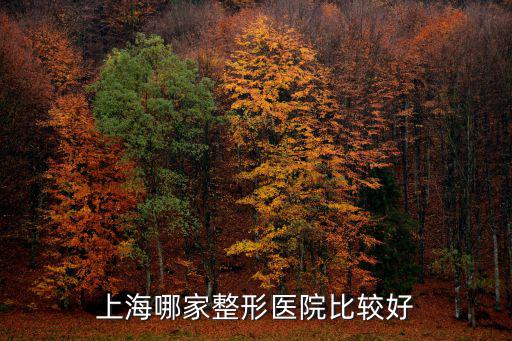 上海美容醫院，上海美容醫院哪些最好怎么樣