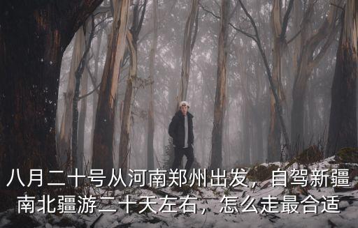 八月二十號從河南鄭州出發，自駕新疆南北疆游二十天左右，怎么走最合適