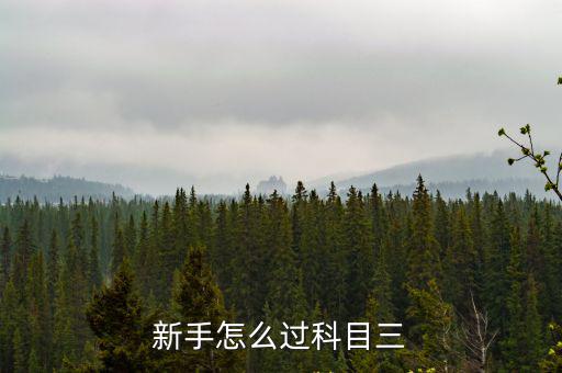 新手怎么過科目三
