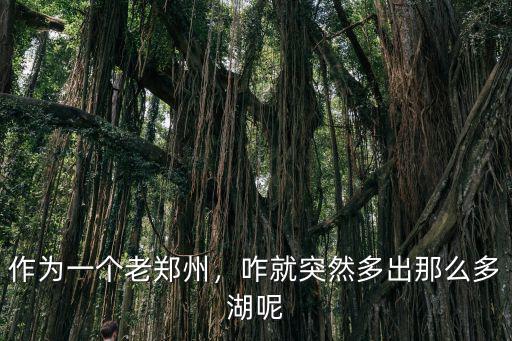 作為一個老鄭州，咋就突然多出那么多湖呢