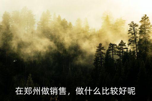 在鄭州做銷售，做什么比較好呢