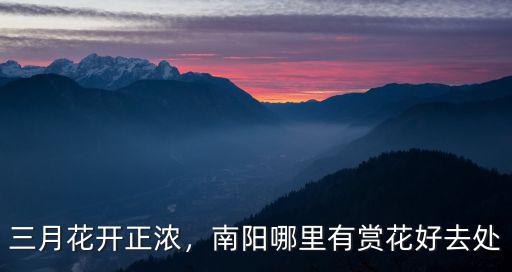 三月花開正濃，南陽哪里有賞花好去處