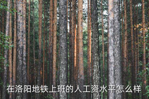在洛陽地鐵上班的人工資水平怎么樣
