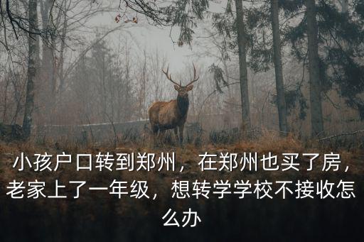 小孩戶口轉(zhuǎn)到鄭州，在鄭州也買了房，老家上了一年級，想轉(zhuǎn)學(xué)學(xué)校不接收怎么辦
