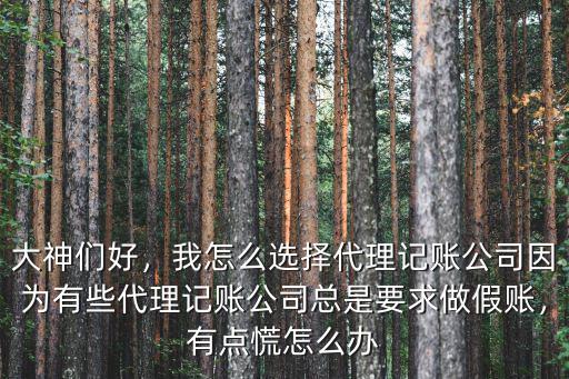 大神們好，我怎么選擇代理記賬公司因為有些代理記賬公司總是要求做假賬，有點慌怎么辦