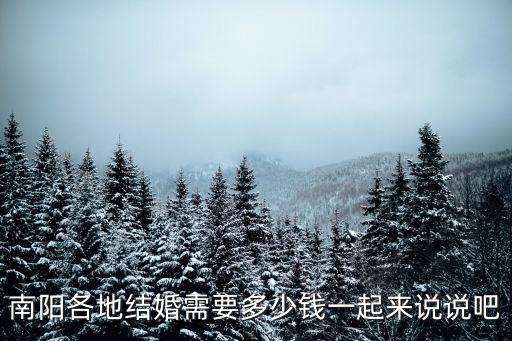 南陽各地結(jié)婚需要多少錢一起來說說吧
