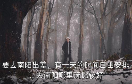 要去南陽出差，有一天的時間自由安排，去南陽哪里玩比較好