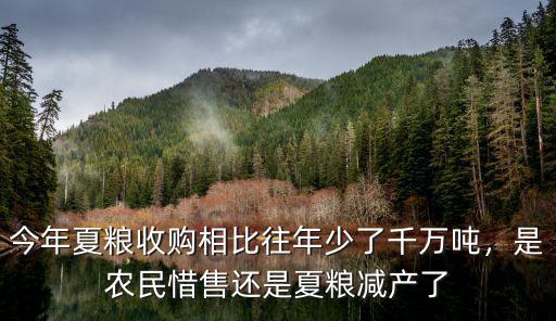今年夏糧收購相比往年少了千萬噸，是農民惜售還是夏糧減產了
