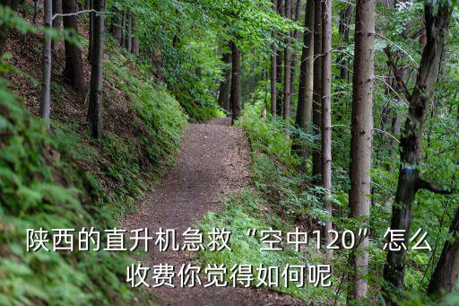 商丘直升機(jī)急救多少錢,需要花費(fèi)多少錢