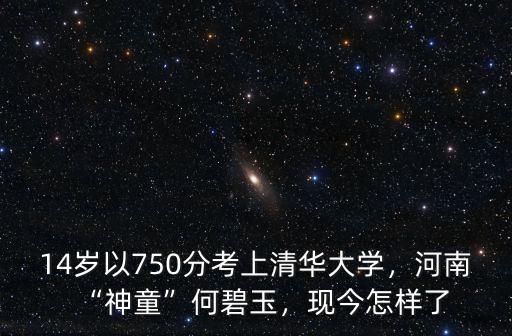 14歲以750分考上清華大學，河南“神童”何碧玉，現今怎樣了