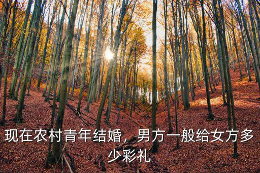 南陽(yáng)彩禮一般給多少,男方一般給女方多少彩禮