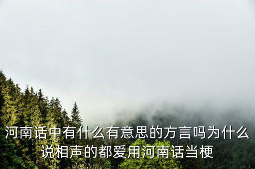 河南話中有什么有意思的方言嗎為什么說相聲的都愛用河南話當(dāng)梗