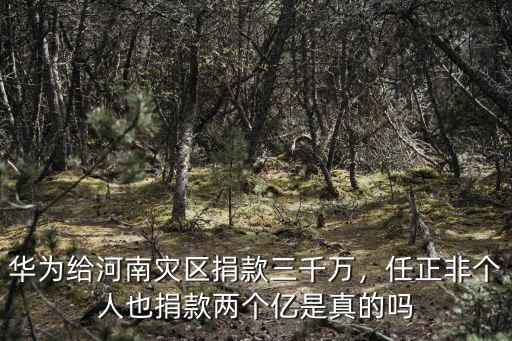 華為給河南災區捐款三千萬，任正非個人也捐款兩個億是真的嗎