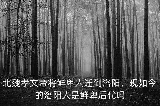 洛陽哪里的東北人多,洛陽哪里的酸菜最地道